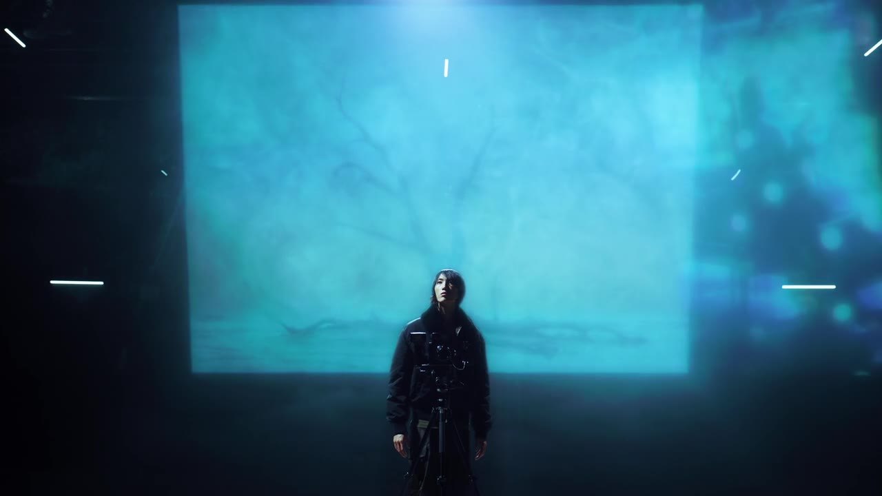 A visitor immersed in the projection